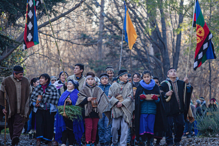 Lee más sobre el artículo Confederación Mapuche de Neuquén