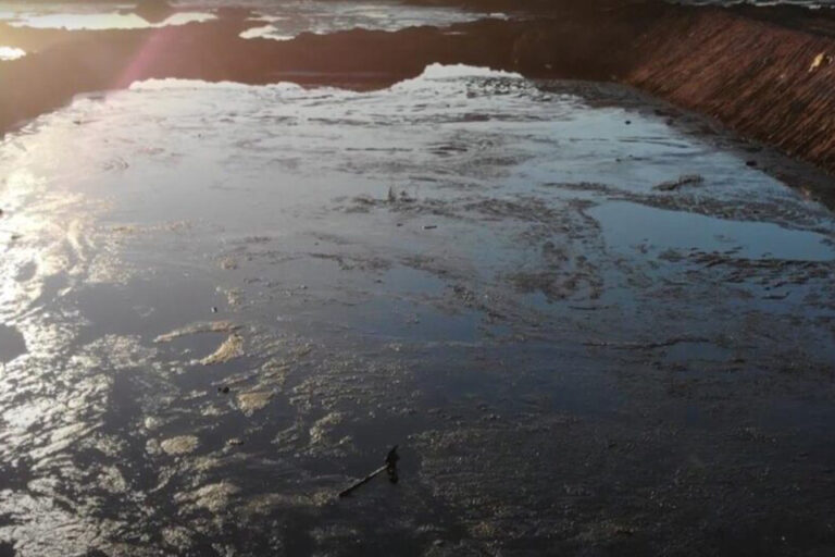 Lee más sobre el artículo Vaca Muerta: un modelo energético a base de contaminación