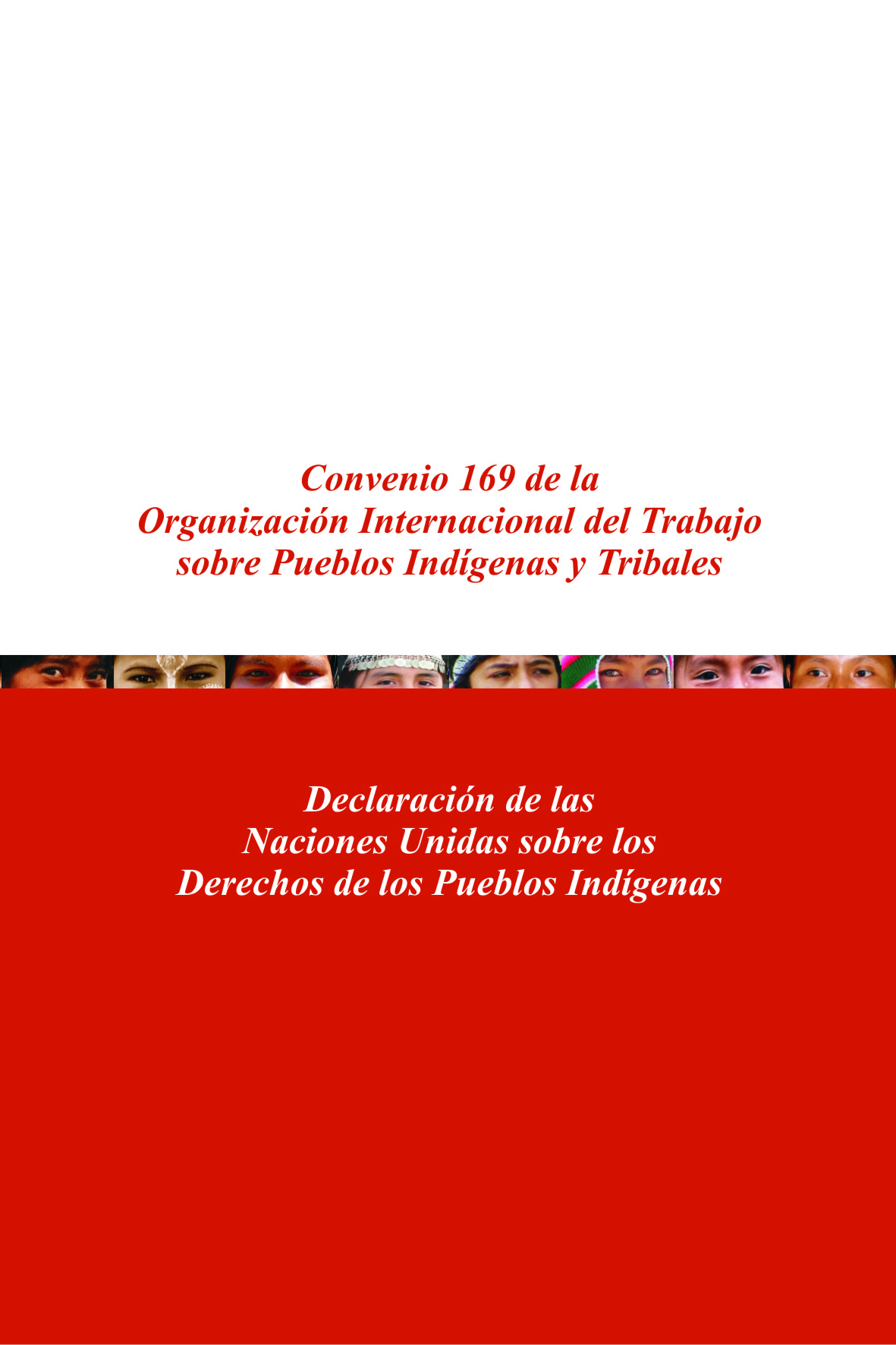 Lee más sobre el artículo Libro de bolsillo: convenio/declaración