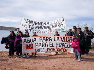 Salvemos el Mari Menuco