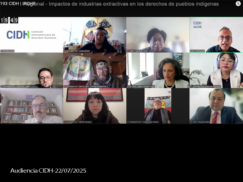 Audiencia de la CIDH: Pueblo Mapuche en emergencia territorial por extractivismo en Argentina