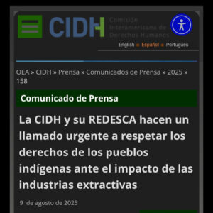 Clara advertencia de la CIDH a los gobiernos extractivistas