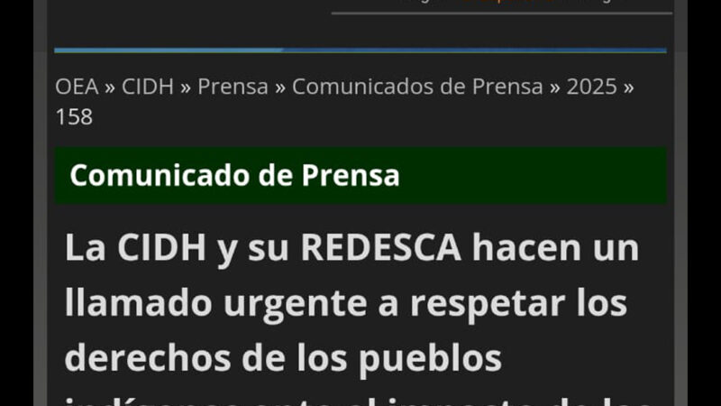 Clara advertencia de la CIDH a los gobiernos extractivistas