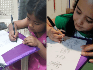 Aportes de la mirada de las mujeres mapuche y respuesta de la Corte Interamericana (Corte IDH)