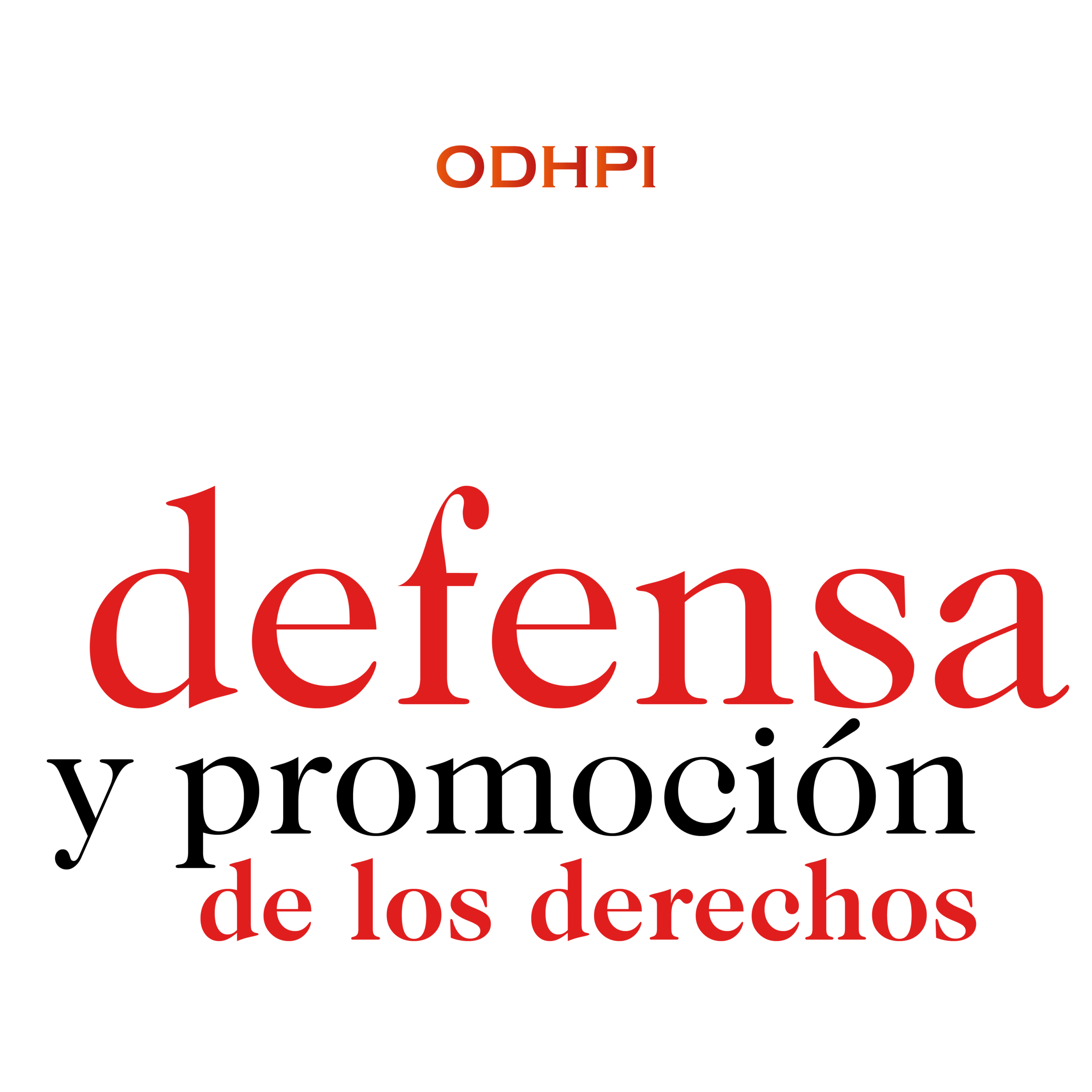 Lee más sobre el artículo Defensa y promoción de los derechos