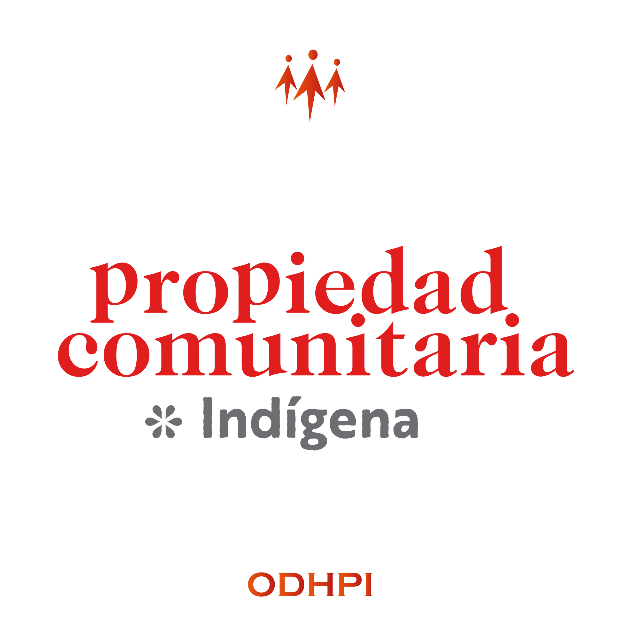 En este momento estás viendo Propiedad Comunitaria Indígena