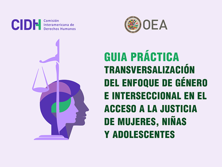Lee más sobre el artículo La CIDH presenta una Guía para incorporar el enfoque de género en la justicia