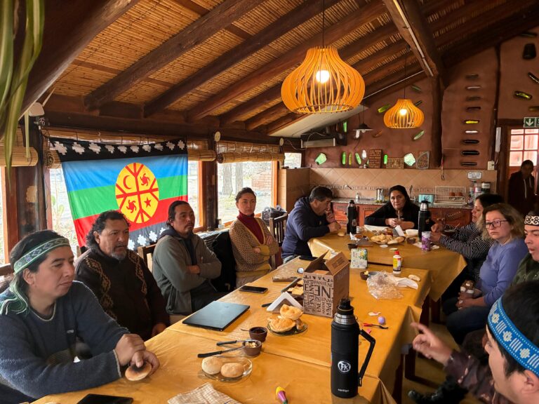Lee más sobre el artículo Encuentro de Comunidades Mapuches y Mapuches-Tehuelches